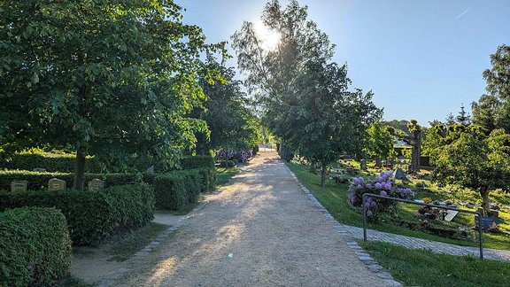 Friedhof_1.jpg 