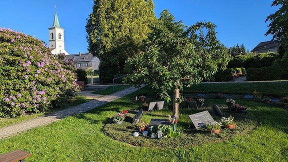 Friedhof_3.jpg 